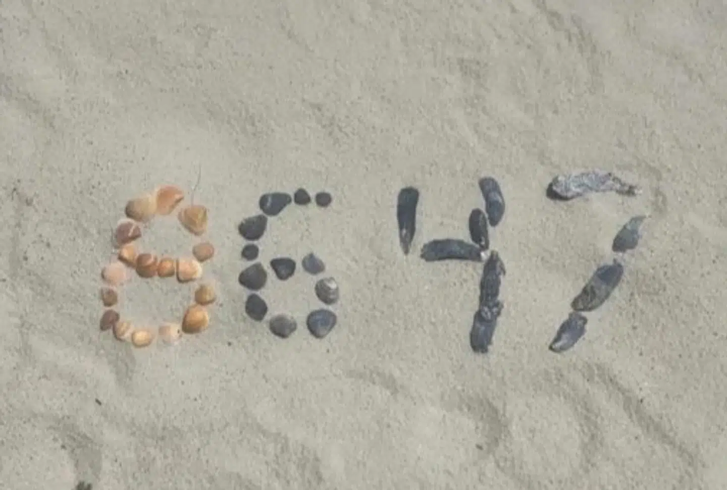 Disse muslingeskaller delte tidligere FBI-chef James Comey på Instagram i maj sidste år. Nu er han tiltalt for at have truet Donald Trump på livet.