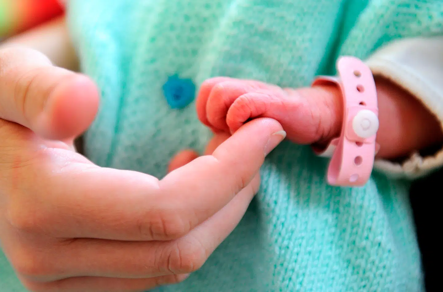 Efter abortgrænsen sidste sommer blev hævet, er antallet af sene aborter (mellem 12. og 17. uge) steget med 46 procent, viser tal fra Sundhedsdatastyrelsen. Arkivfoto: Philippe Huguen/AFP/Ritzau Scanpix