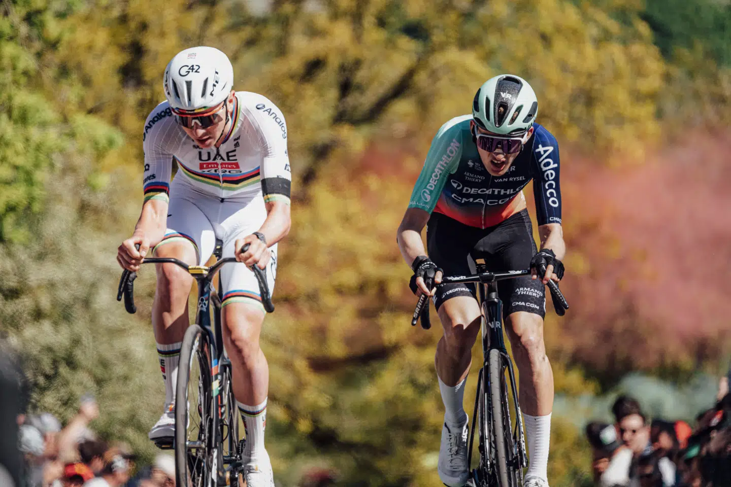 Tadej Pogacar og Paul Seixas på stigningen La Redoute i monumentet Liège-Bastogne-Liège i den første af mange kampe om herredømmet i cykling.