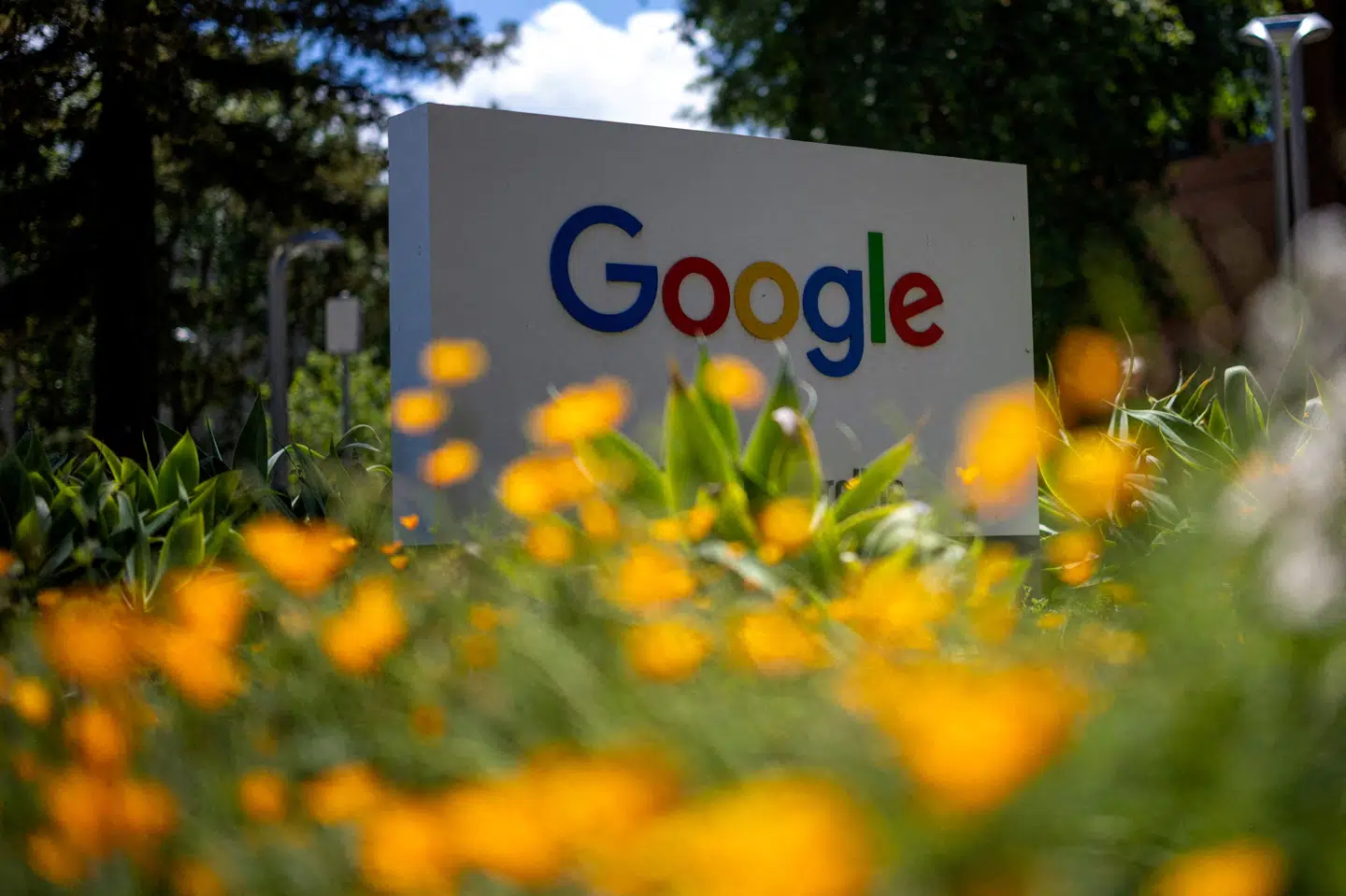 Googles moderselskab, Alphabet, har onsdag fremlagt kvartalsregnskab, der overgår forventningerne. (Arkivfoto).