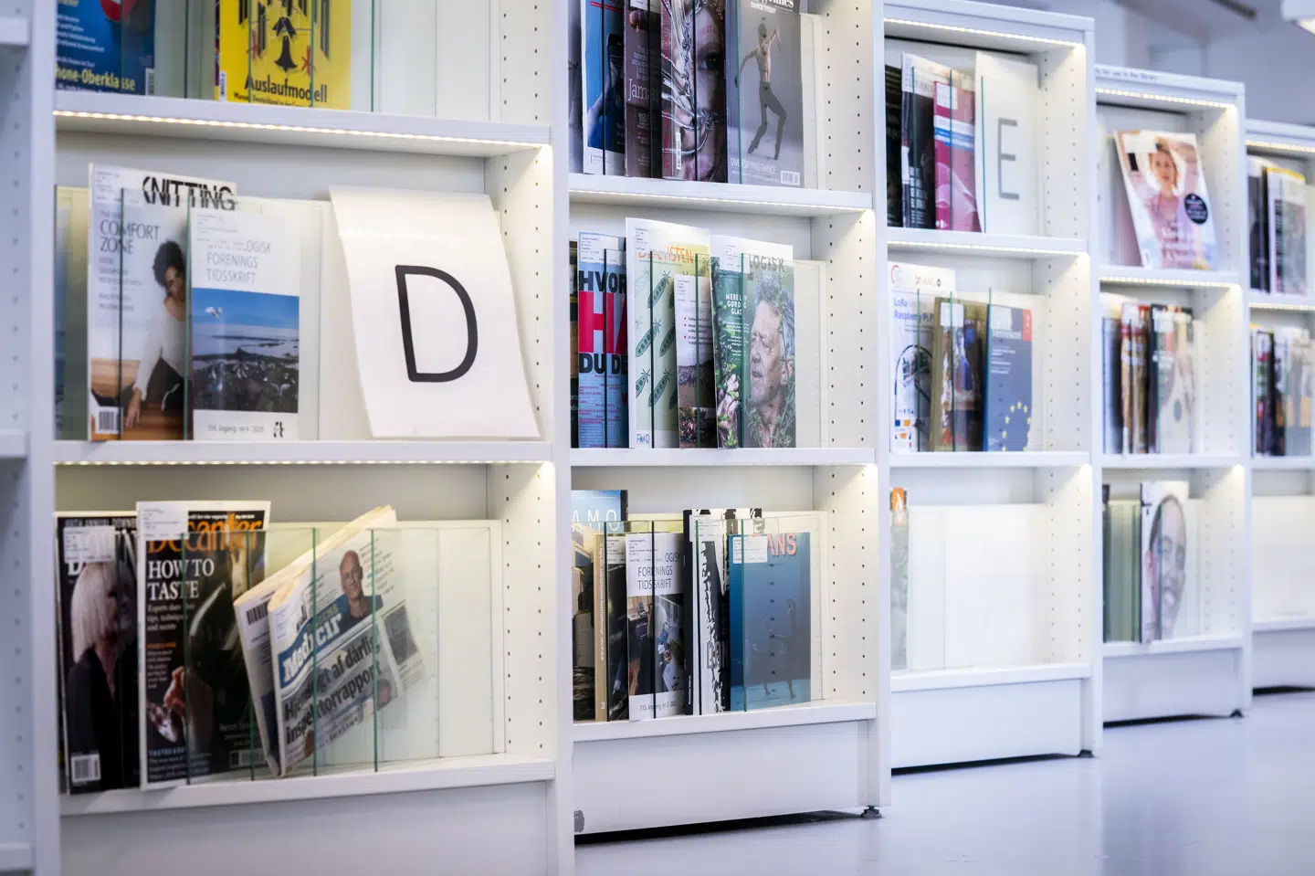 Biblioteket er et af mange steder, hvor ord og udtryk spiller en afgørende rolle. Dansk Sprognævn ser gerne, at brugen af engelske udtryk i det danske sprog skrumper. (Arkivfoto).