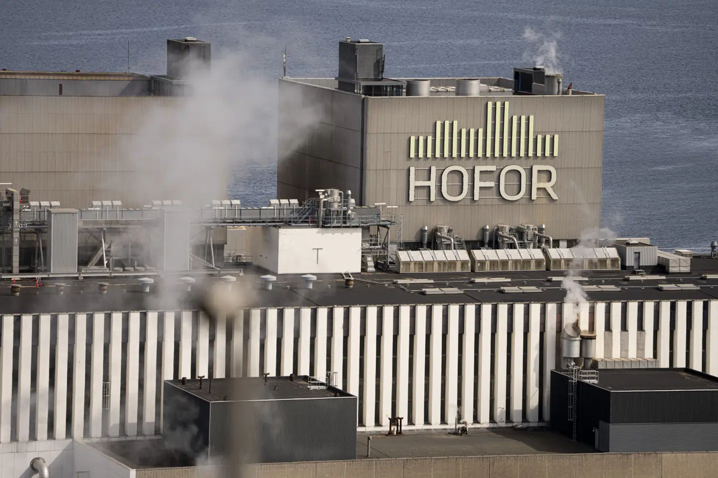 Hofor leverer vand, varme, bygas, fjernkøling og håndterer spildevand for mere end en million kunder. (Arkivfoto).