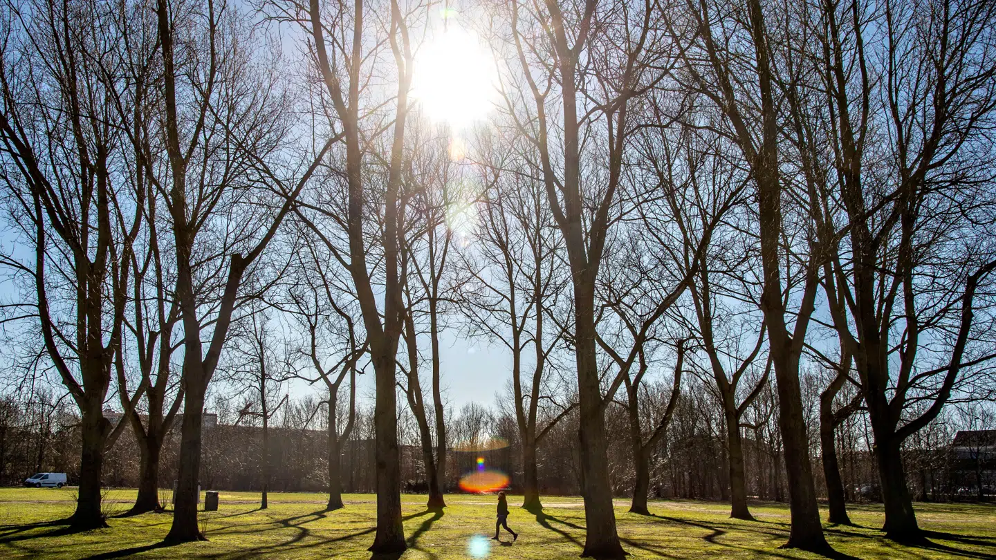 Er du en af dem, der nyder det gode forårsvejr disse dage? Så skal du være særlig opmærksom på den skarpe sol.