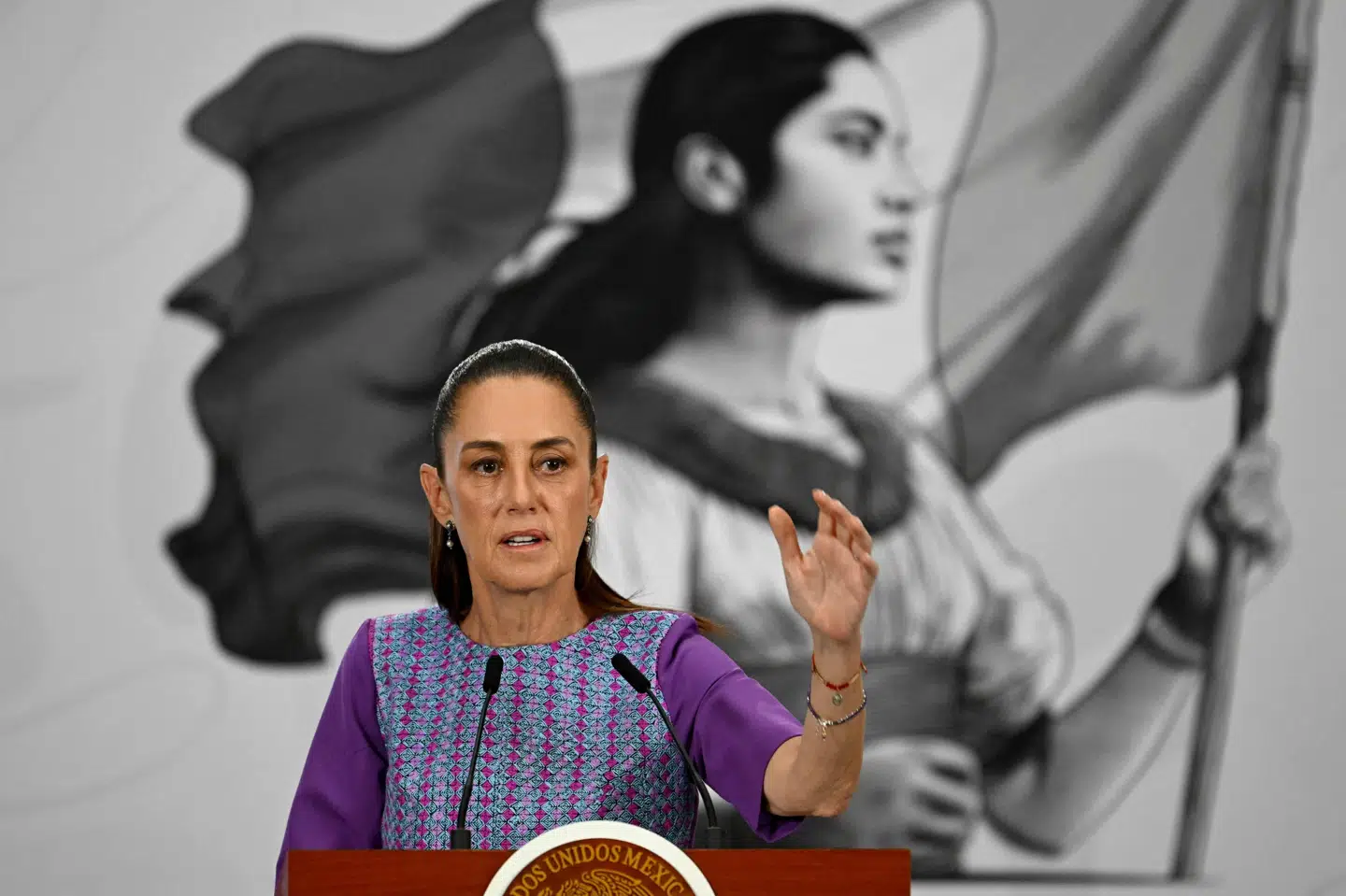 Mexicos præsident, Claudia Sheinbaum, under et pressemøde torsdag.