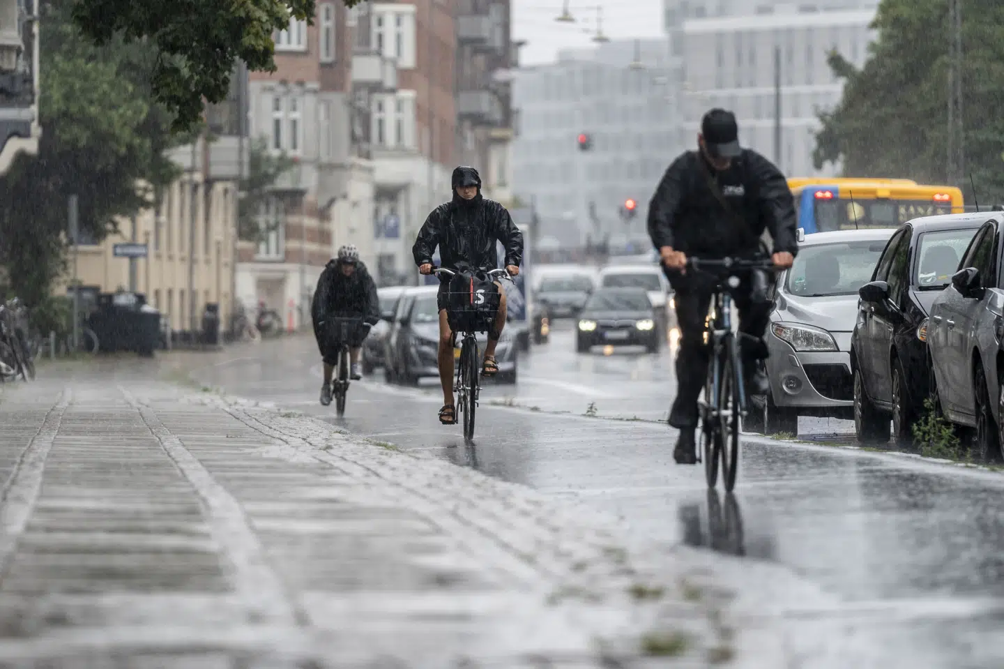 Der er risiko for kraftig regn flere steder i Danmark søndag aften. (Arkivfoto).