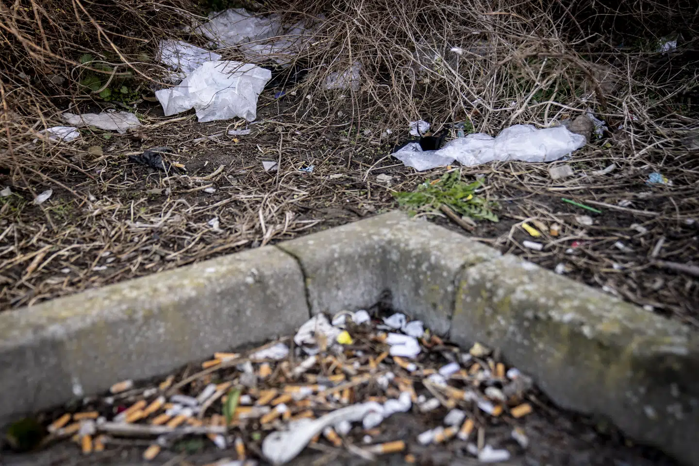 Plastikposer og cigaretskodder er blandt den type affald, som blev samlet op af mere end 200.000 danskere i en landsdækkende affaldsbehandling. I alt blev 120 ton affald indsamlet og registeret. (Arkivfoto).