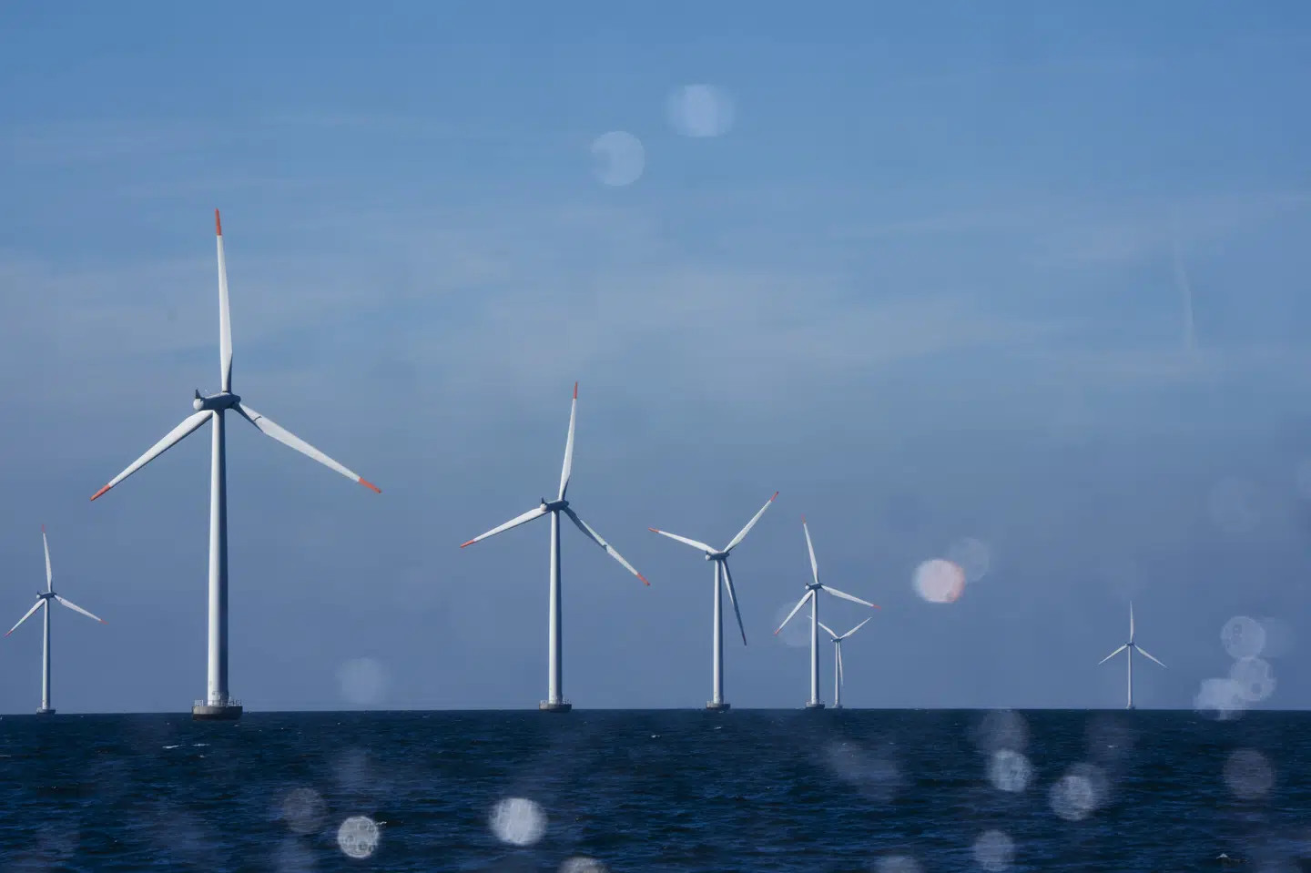 Ørsteds offshore-vindmøller i Nysted Havmøllepark nær Gedser, fotograferet mandag den 4. september 2023. Ørsted har sin primære indtjening i havvind. (Arkivfoto).