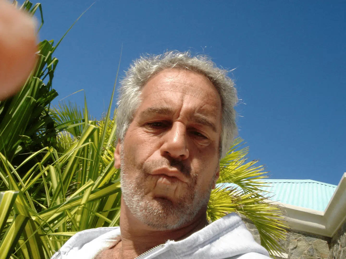 Et billede af Jeffrey Epstein fra de såkaldte Epstein-filer.
