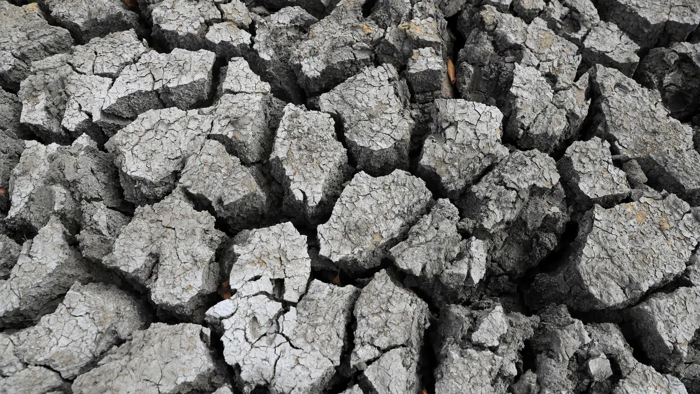 El Niño kan give tørke nogle steder – og oversvømmelser andre steder.