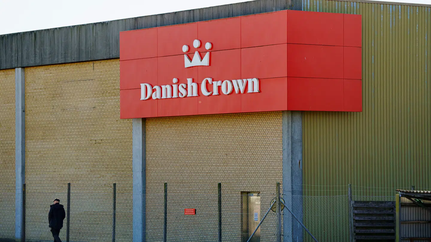 Danish Crown-slagteri er ramt af salmonella.