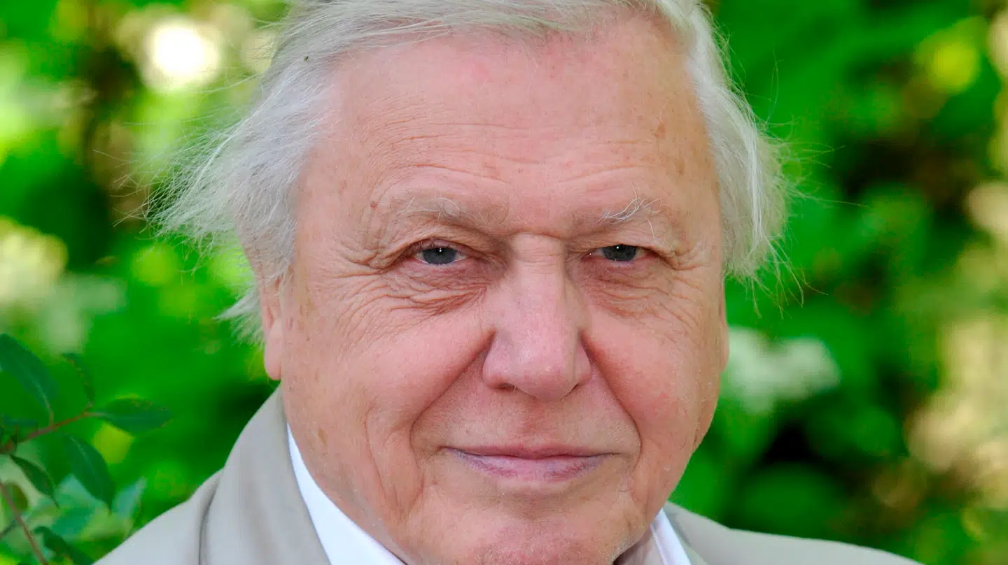 David Attenborough har en imponerende karriere bag sig - og imponerende alder.
