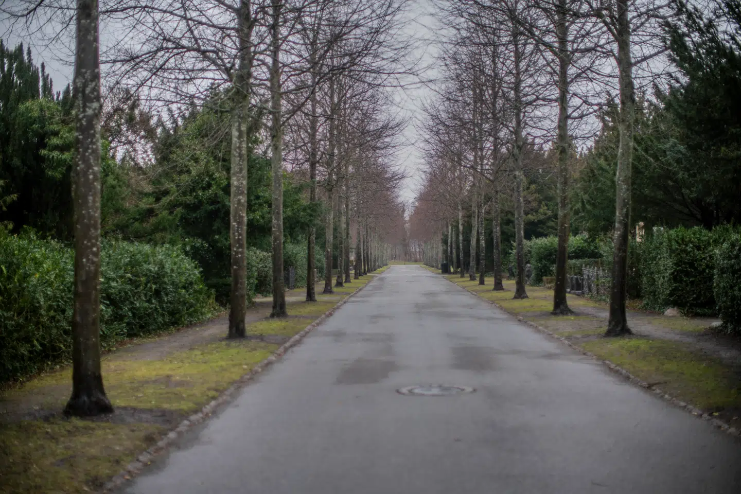 Mindepladen bliver sat op på Vestre Kirkegård i det sydvestlige København.