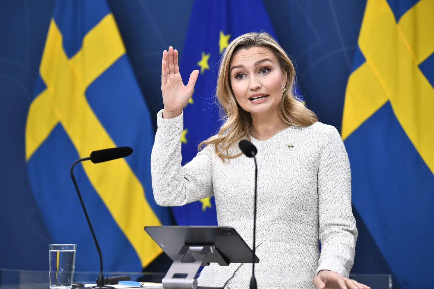 Den svenske energiminister, Ebba Busch, siger fredag, at et kabelprojekt mellem Sverige og Danmark bliver sat på pause, indtil EU lytter til Sverige i en strid om flaskehalsindtægter.