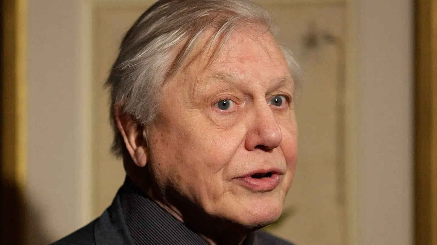 Sir David Attenborough fotograferet i 2008.