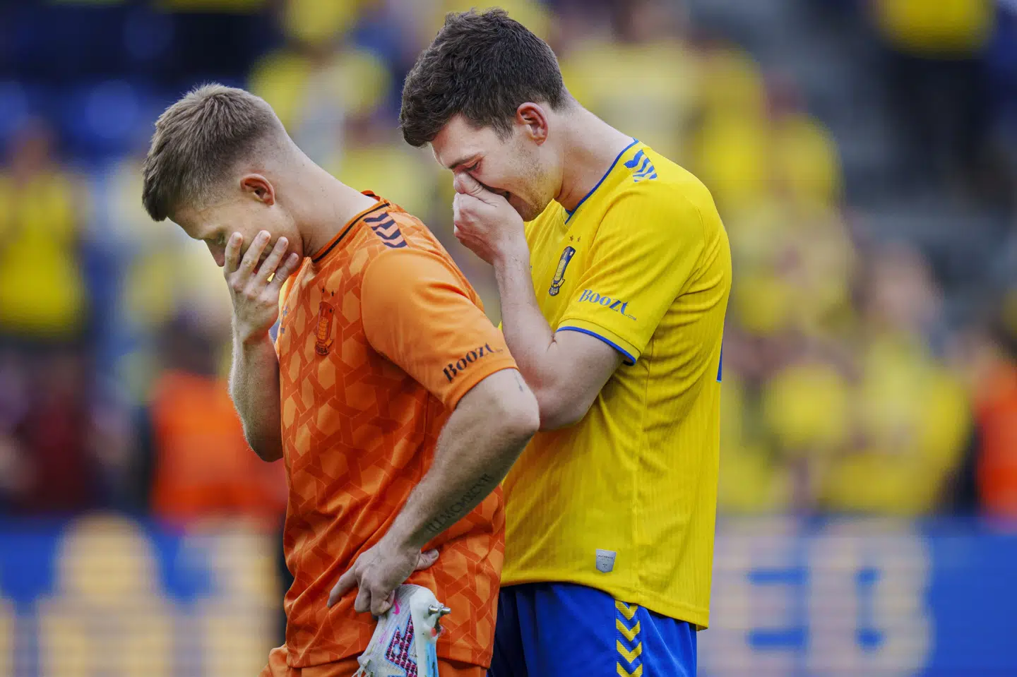AGF knuste Brøndbys gulddrømme i 2024. Søndag kan AGF måske blive mester på Brøndby Stadion, og det vil Brøndbys fans for alt i verden ikke være vidner til. (Arkivfoto).