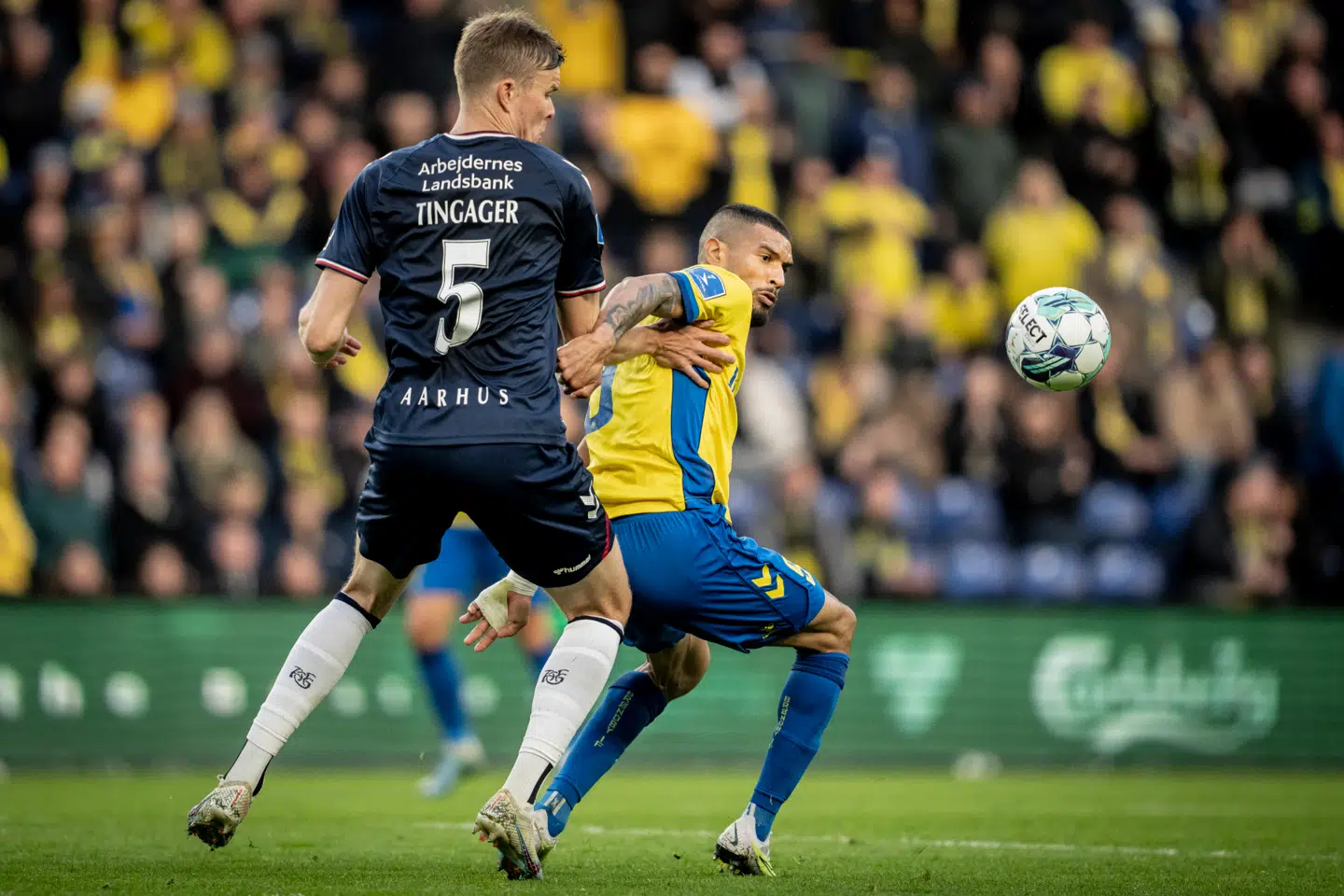 ARKIV. AGFs Frederik Tingager og Brøndby IFs Ohi Omoijuanfo under 3F Superligakampen mellem Brøndby IF og AGF på Brøndby Stadion, søndag den 16. april 2023.