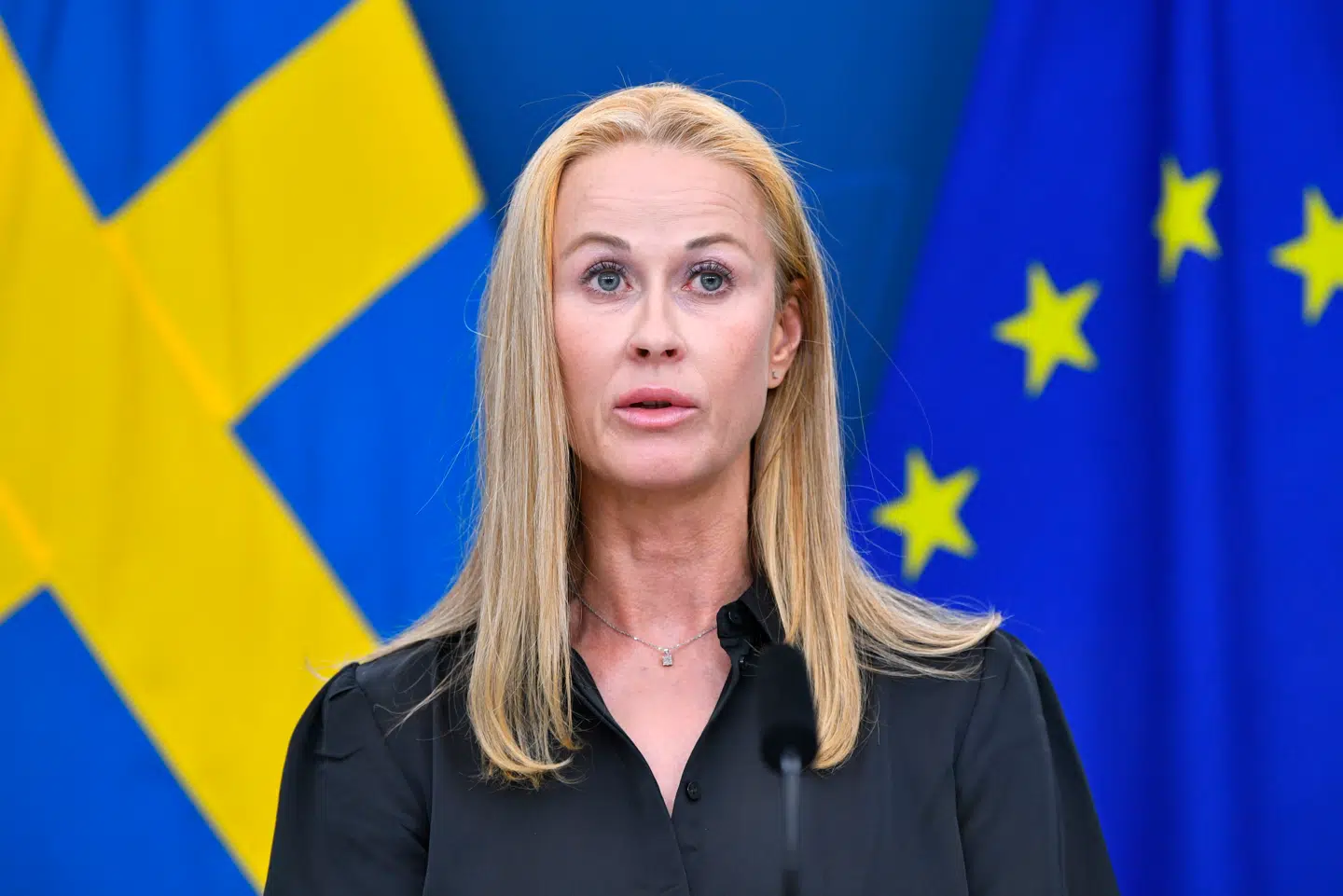 Katja Nyberg var leder af justitsudvalget i den svenske riksdag og fremtrædende medlem af Sverigedemokraterna. Det stoppede tidligere i år, da hun blev sigtet og siden tiltalt for blandt andet besiddelse af kokain.