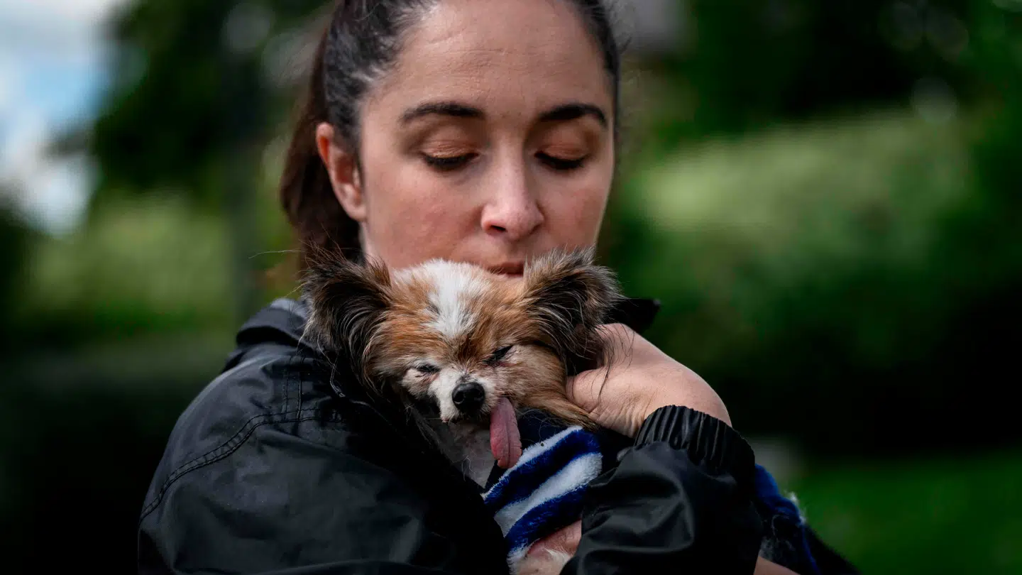 29-årige Ophelie Boudol adopterede verdens - måske - ældste hund kort efter, dens ejer var gået bort.