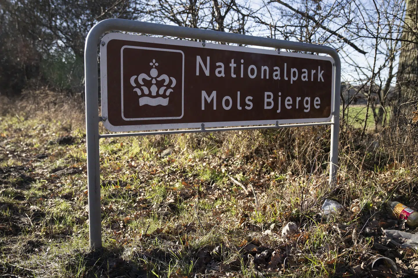 En tidligere skovrider i Naturstyrelsens afdeling Kronjylland var ikke ansvarlig for problemer med dyrevelfærden i Mols Bjerge, har Vestre Landsret fastslået. (Arkivfoto)
