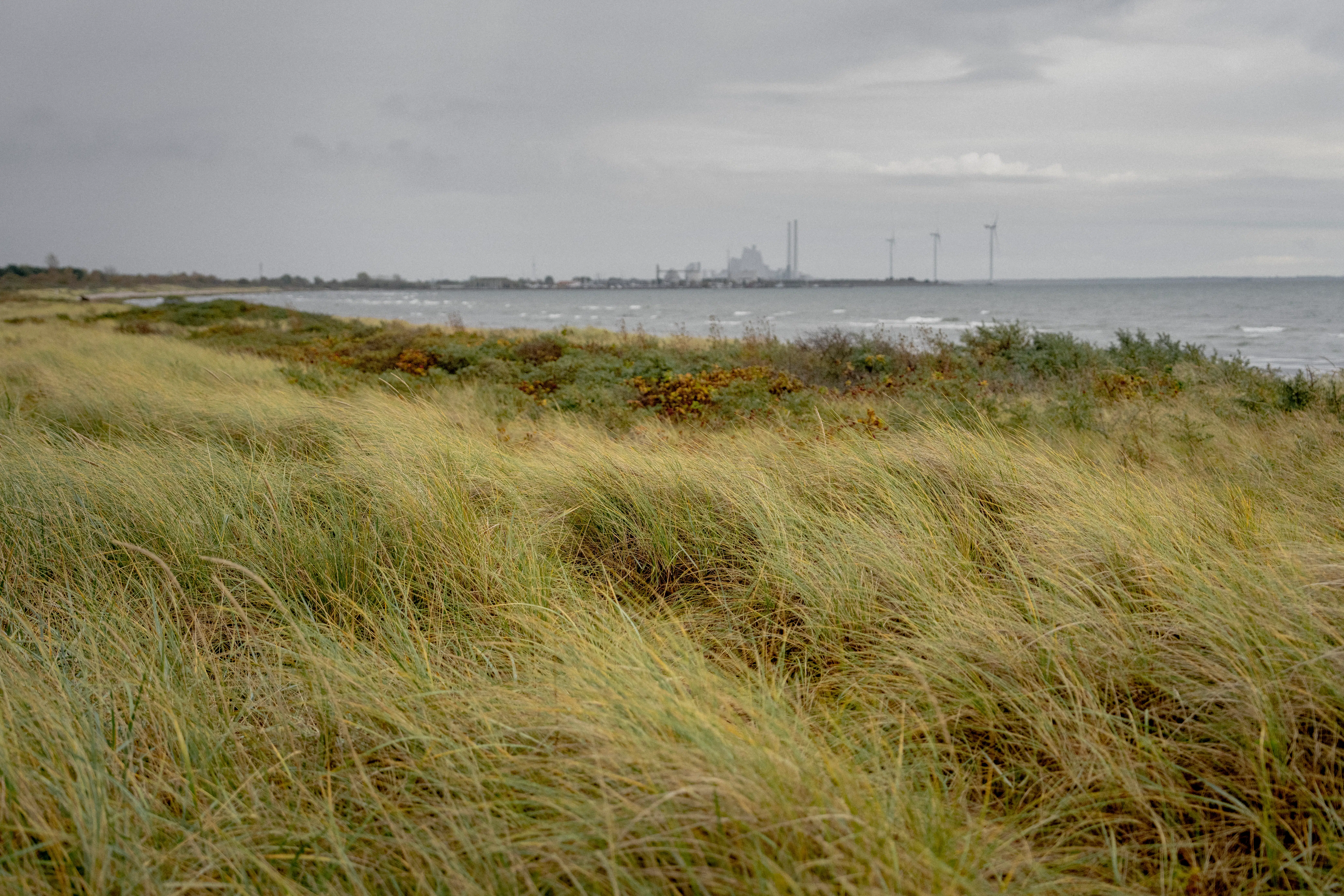 Klokken 16.14 begyndte Danmark at ryste. Årsagen skal findes under Køge Bugt