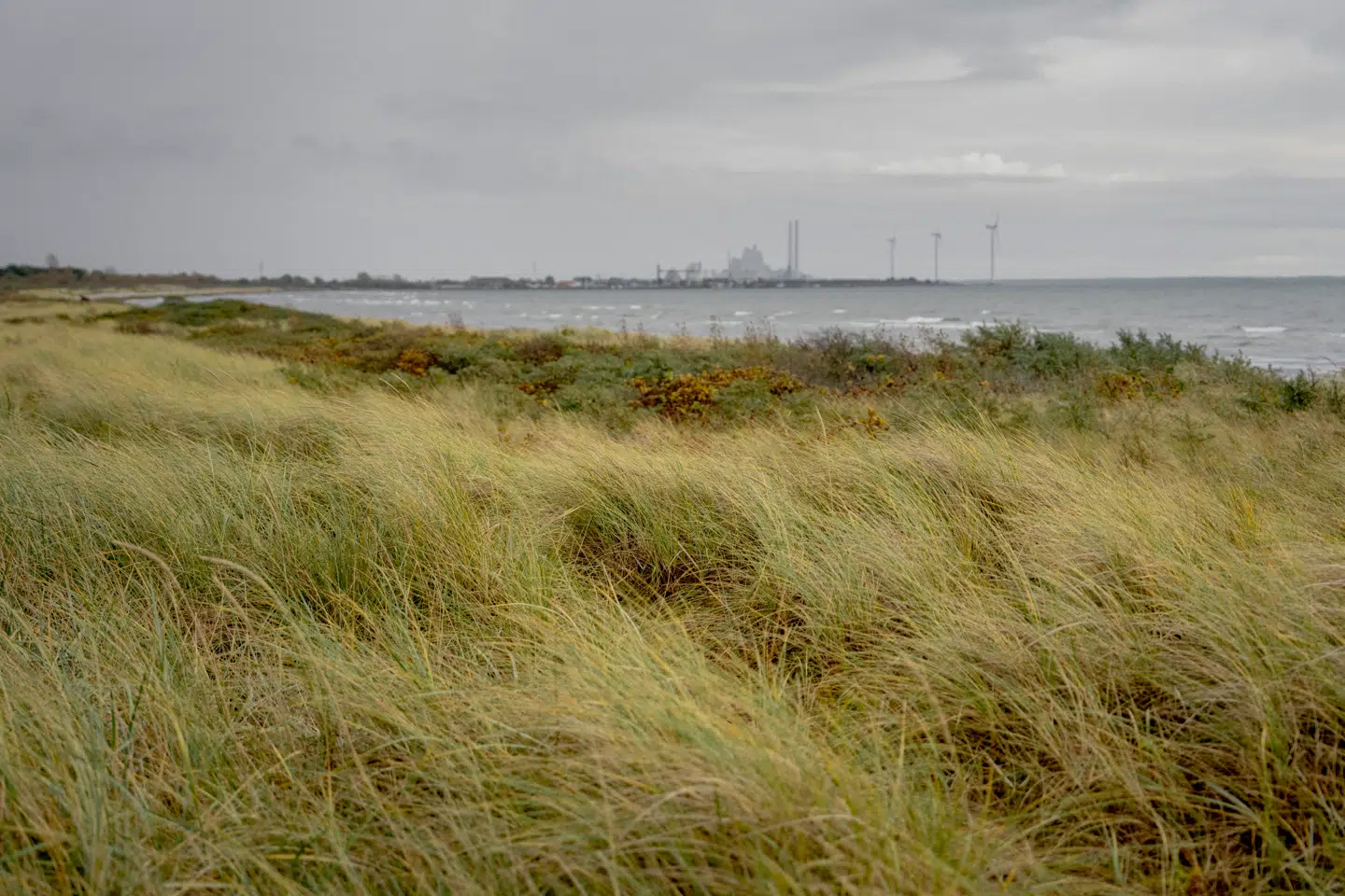 Køge Bugt var epicenter for onsdagens jordskælv.