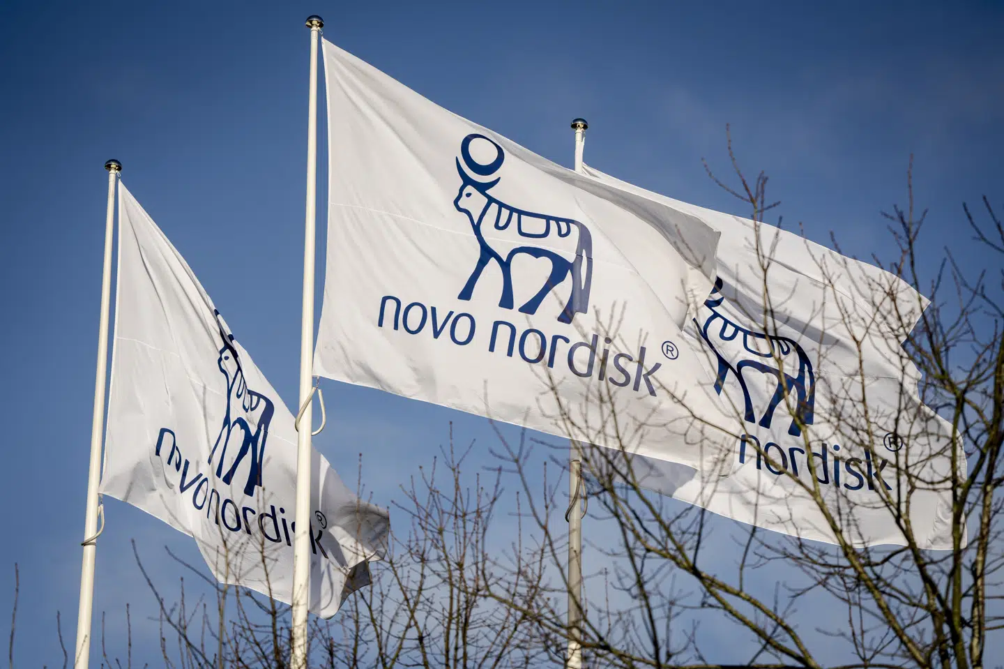 På trods af en større fyringsrunde i Novo Nordisk fortsætter beskæftigelsen med at stige. (Arkivfoto).