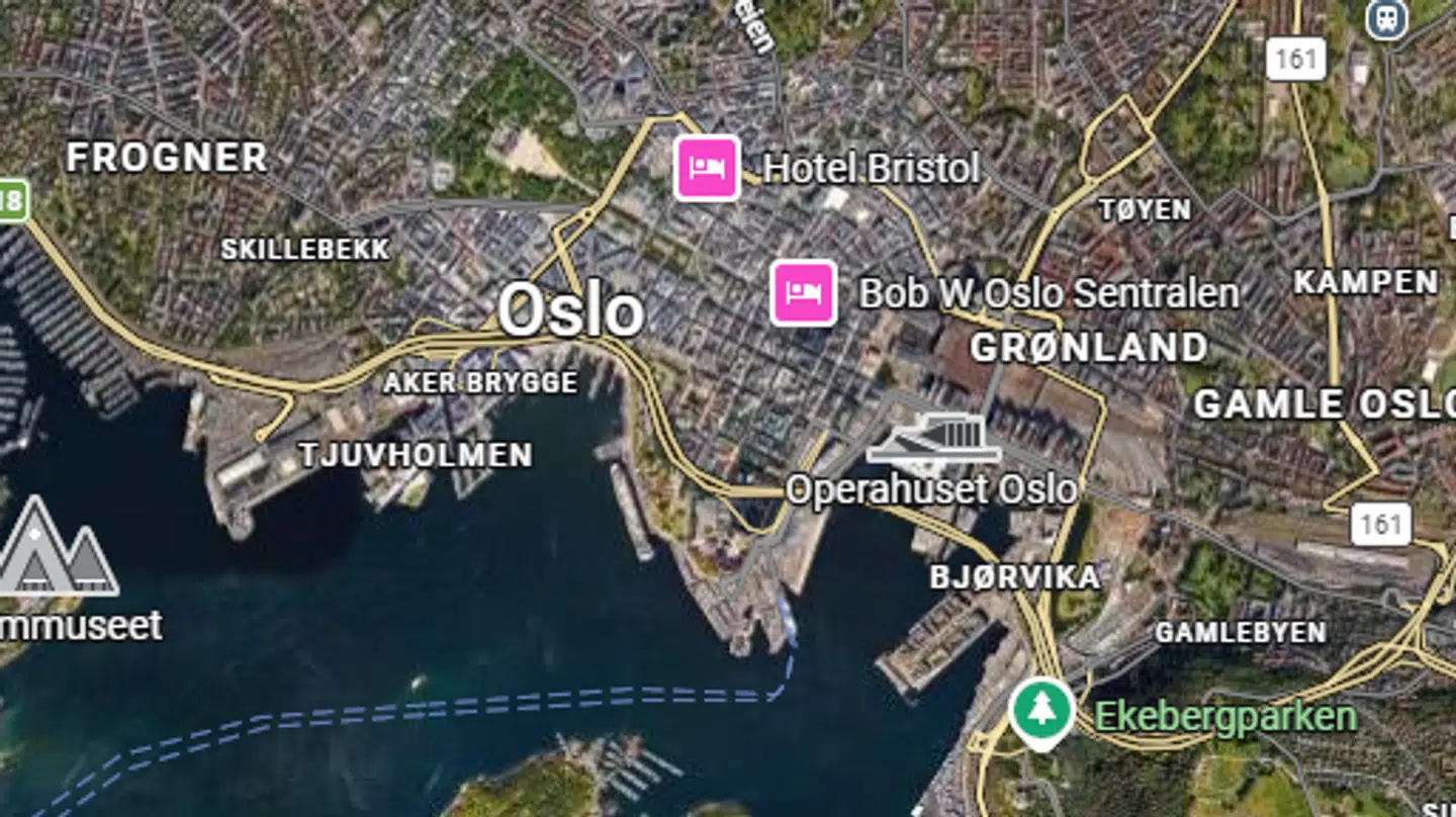 Faldet skete i Tøyen i Oslo.