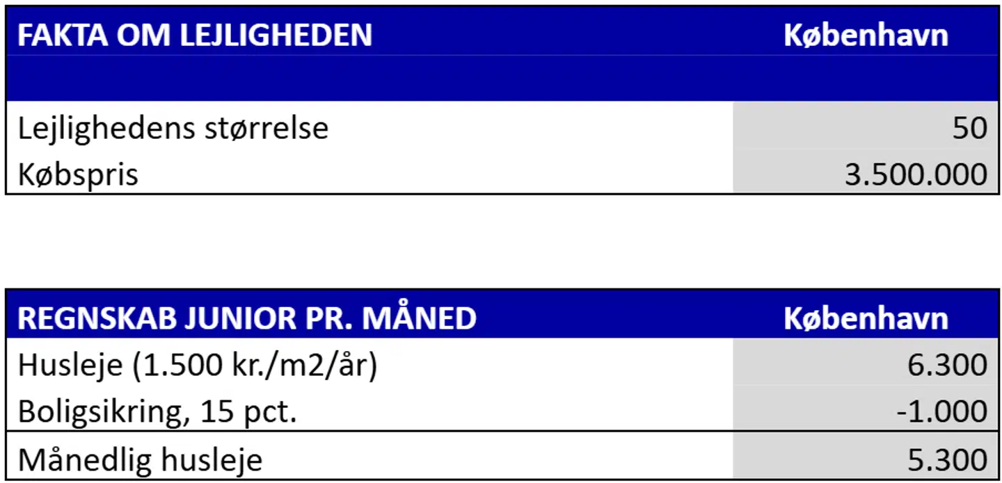 Anm.: Tallene er afrundede og eksemplet er illustrativt.