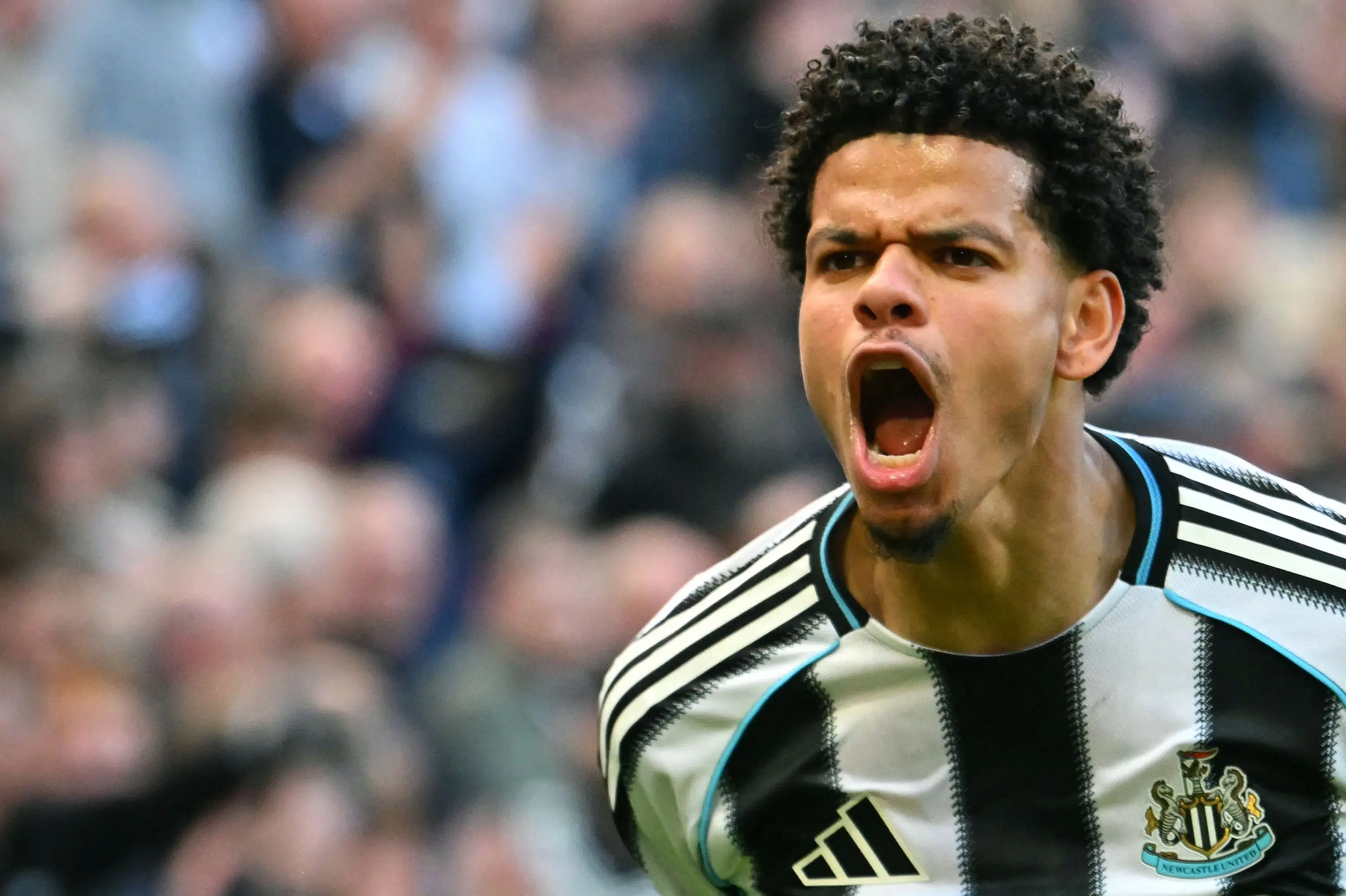 Målrus i Newcastle bringer Osula tæt på landsholdsdebut