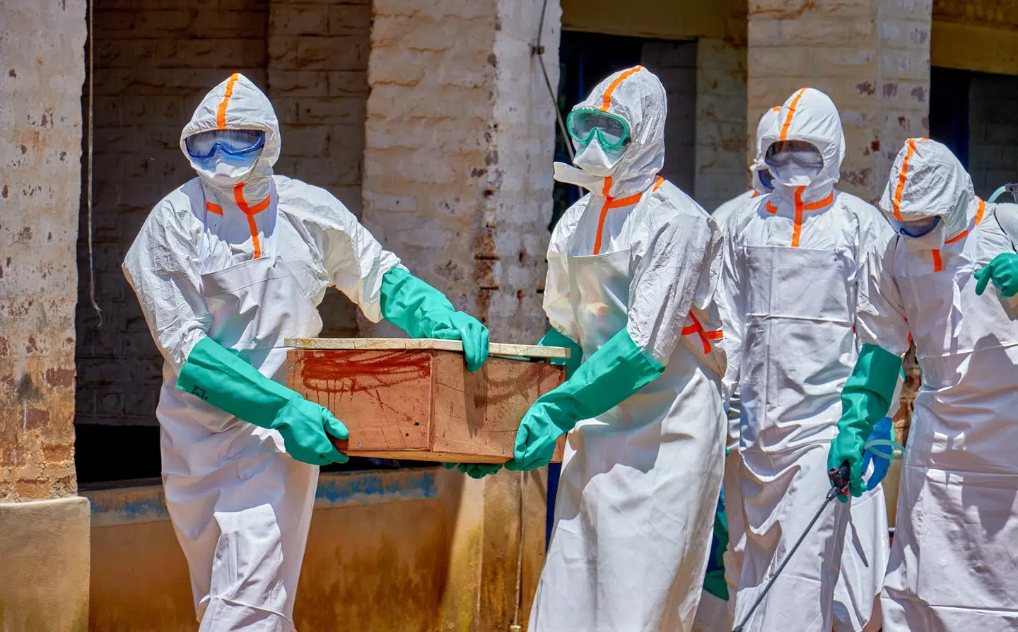 Røde Kors-ansatte i Congo bærer en kiste med et barn, som er død af ebola.