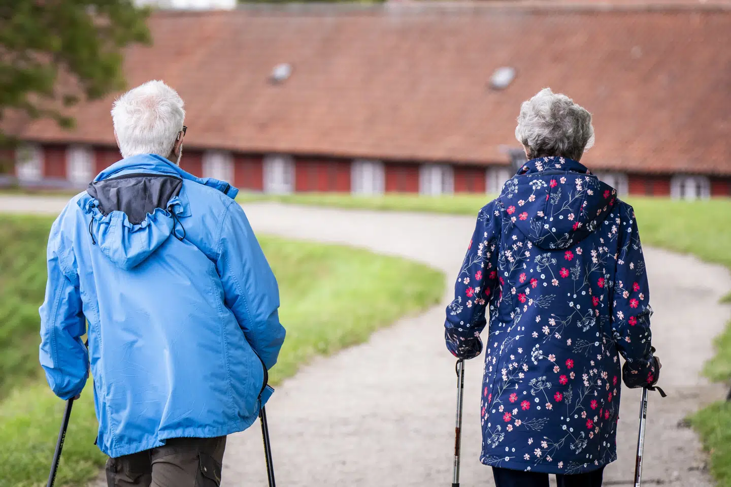 Pensionsopgørelser bliver sendt ud til omkring 1,1 million danske pensionister de kommende tre uger. (Arkivfoto).