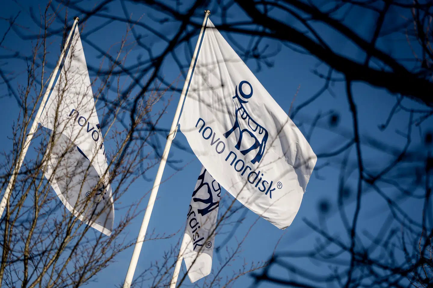 Fyrringer i Novo Nordisk har været en medvirkende årsag til, at flere topchefer er blevet fyret i første kvartal af 2026.