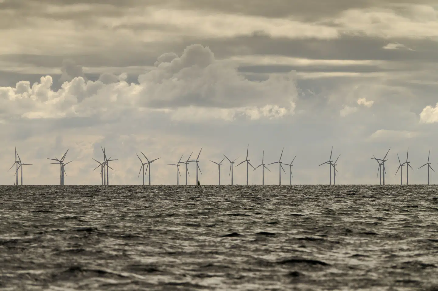 Klimarådet er tirsdag kommet med en analyse, der blandt andet fortæller om danskernes holdning til klimaforandringerne. (Arkivfoto).