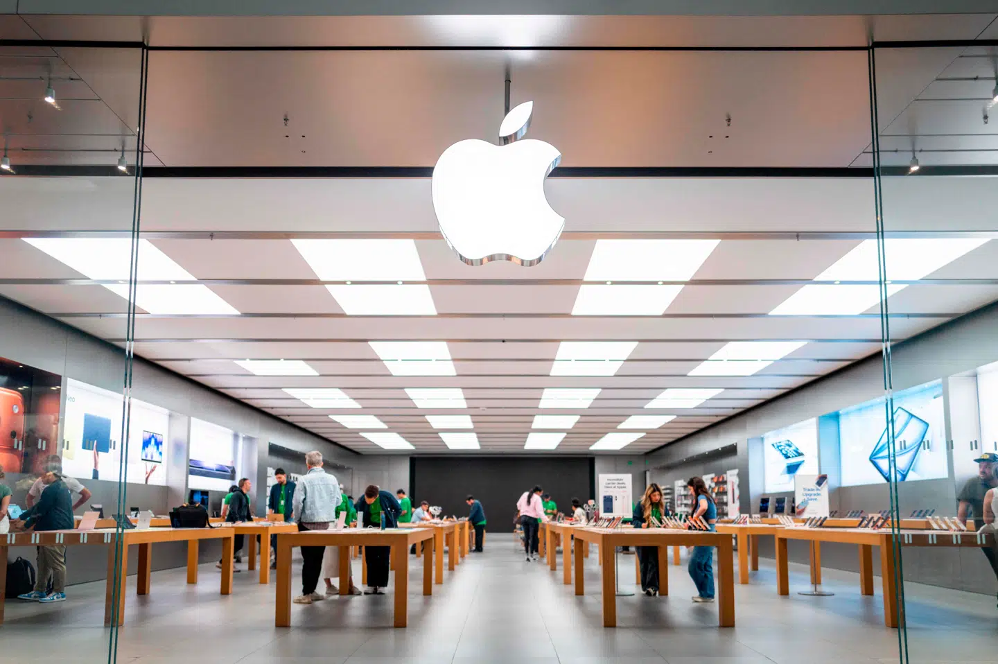 Apple producerer en række elektronikprodukter til professionelle og forbrugere.