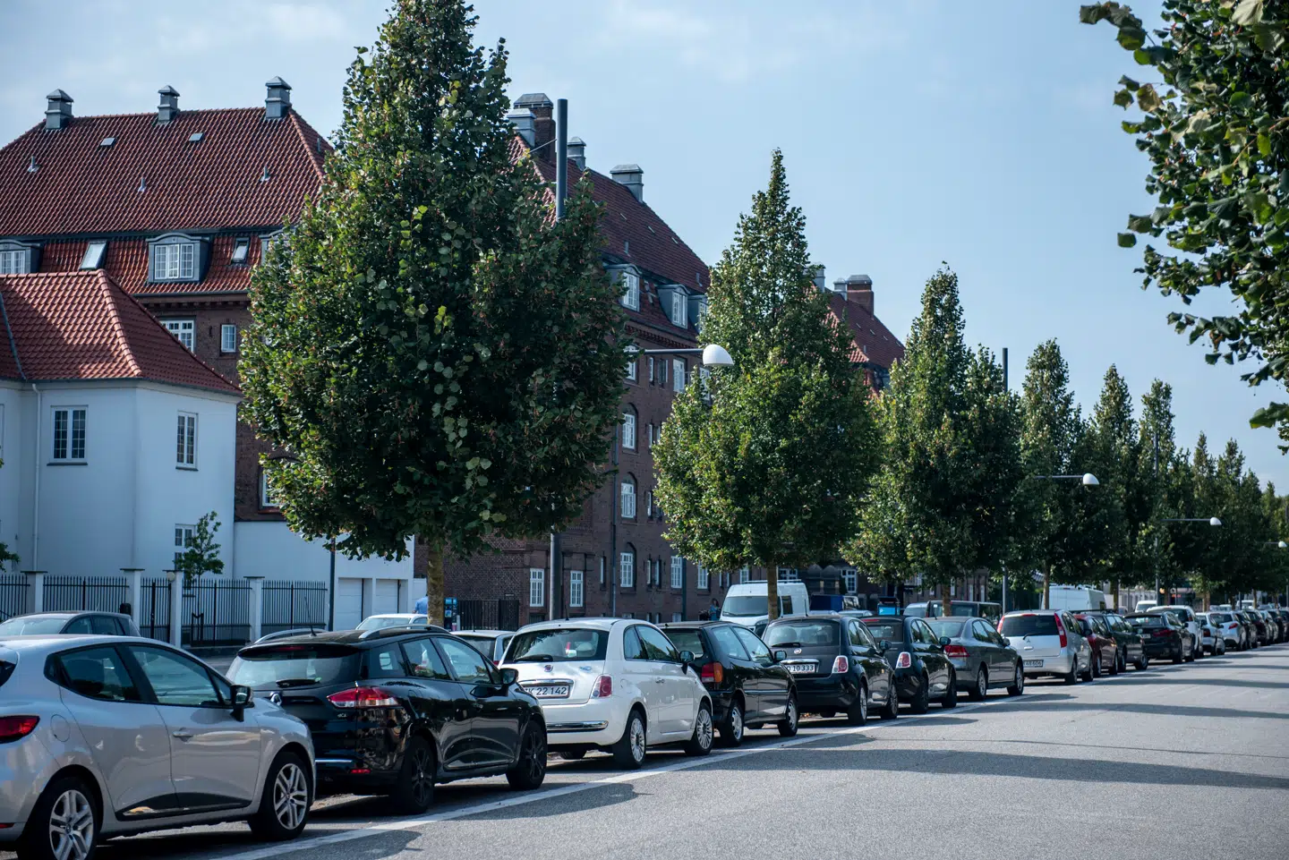 Det er »provokerende«, når biler bare står og samler fuglelort på fællesskabets plads, skriver Lotte Kofoed, der mener, at det skal være dyrere at have bil i byen. Arkivfoto: Celina Dahl