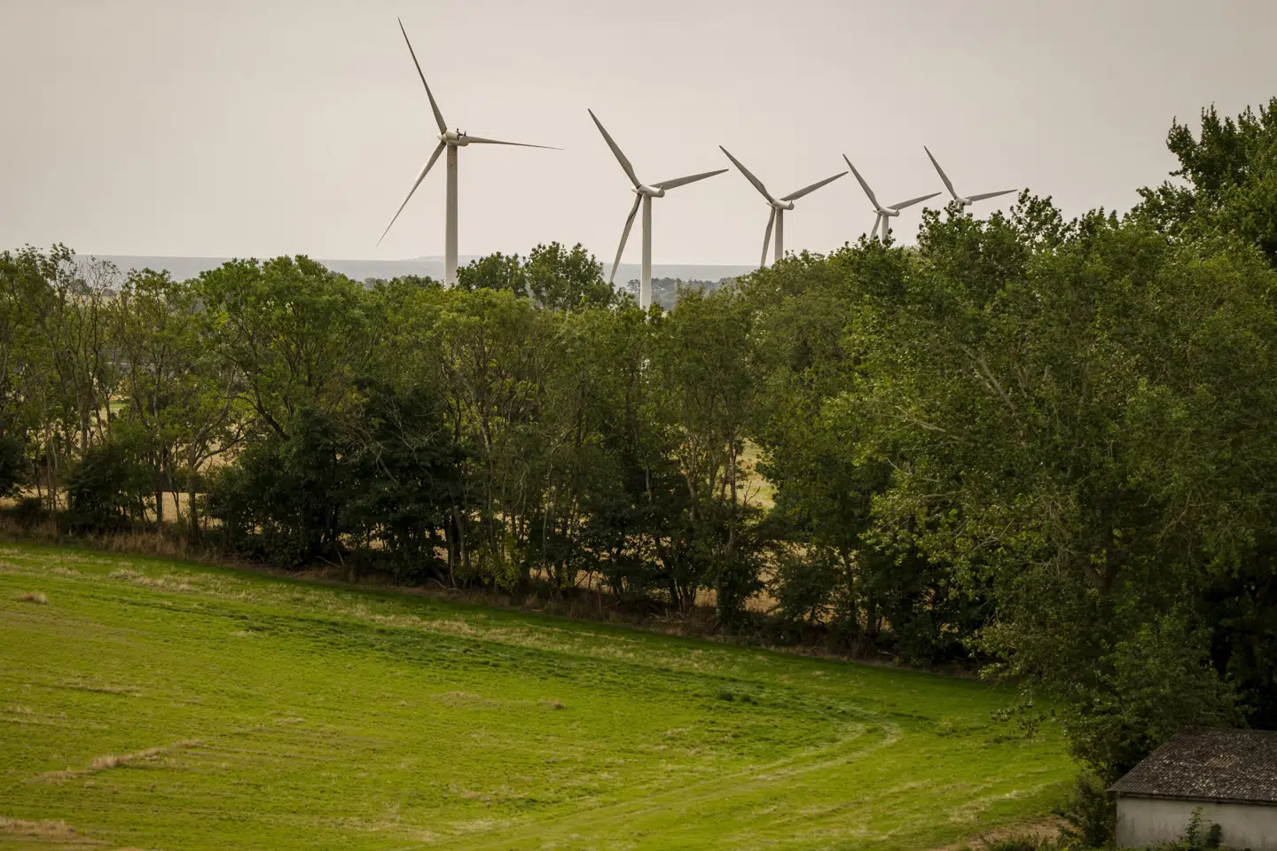 I Thisted Kommune skal borgerne inddrages, når nye vedvarende energiprojekter skal behandles, men onsdag aften blev to projekter stemt igennem trods modstand fra lokalsamfundet. (Arkivfoto).