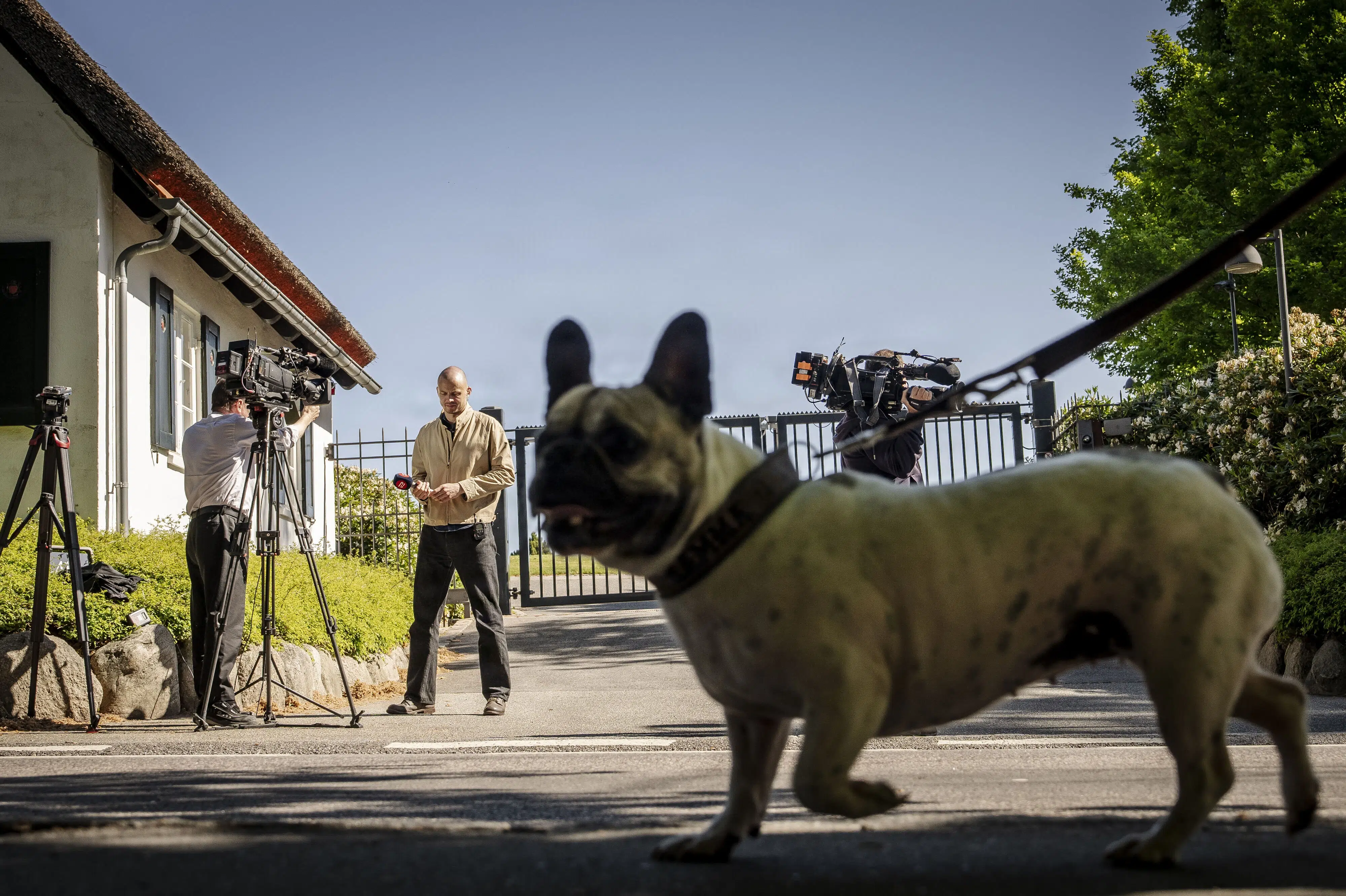 Regeringsforhandlinger har tiltrukket journalister, løbere og hunde
