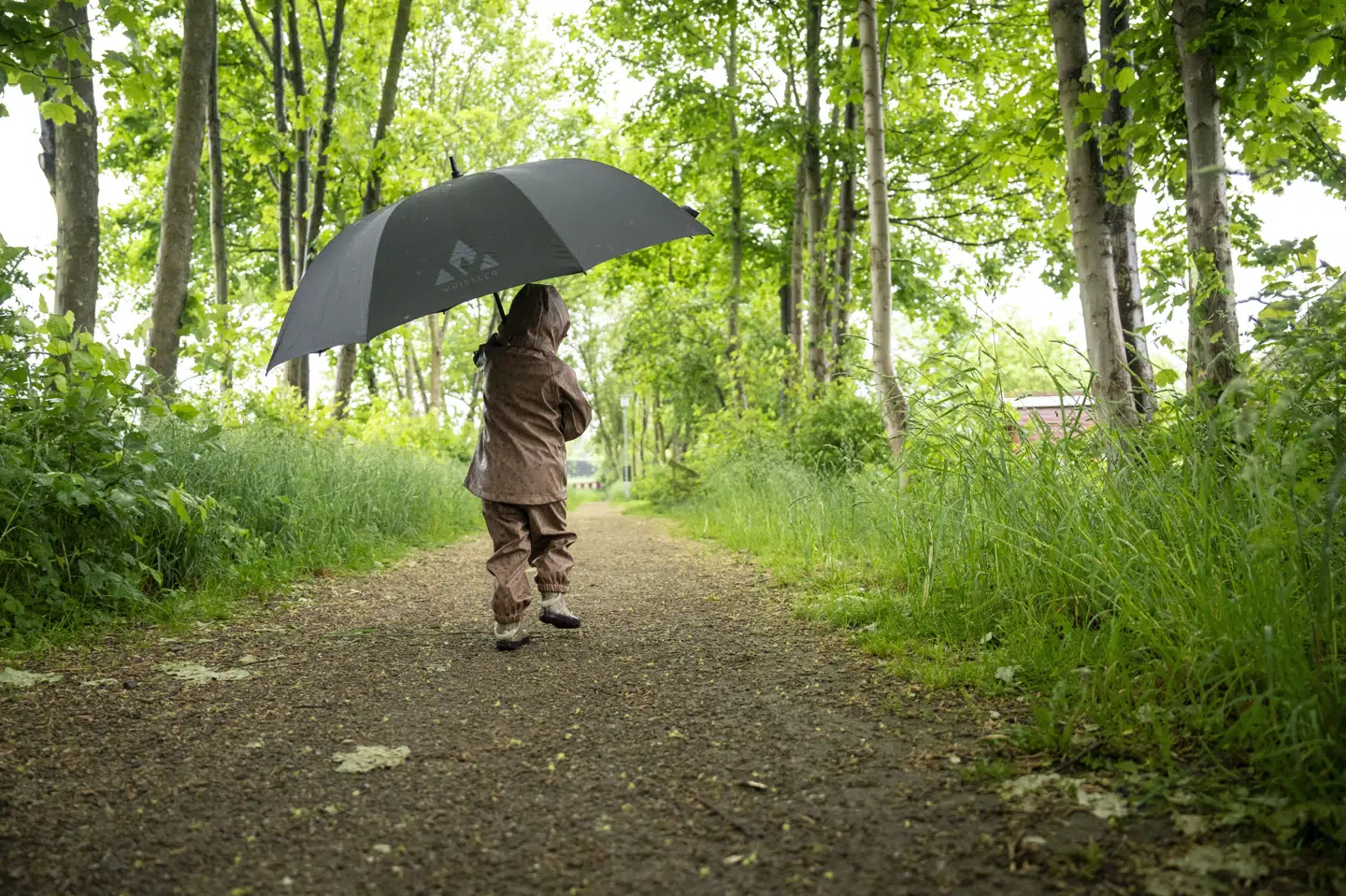 Der kan flere dage denne uge komme byger, mens temperaturerne dog ikke ser ud til at falde til under 15 grader. (Arkivfoto).