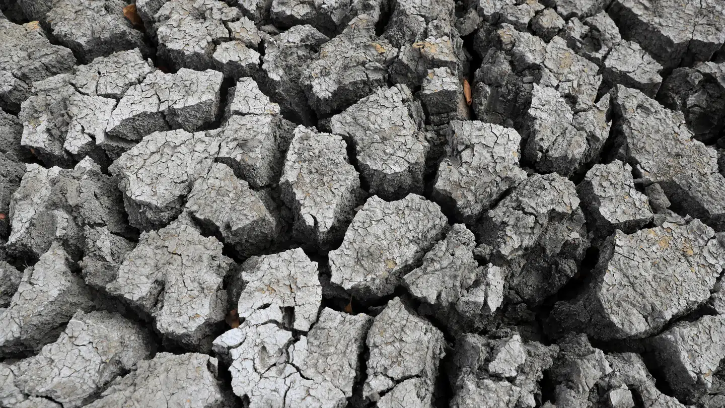 Der er større risiko for tørke under El Niño.