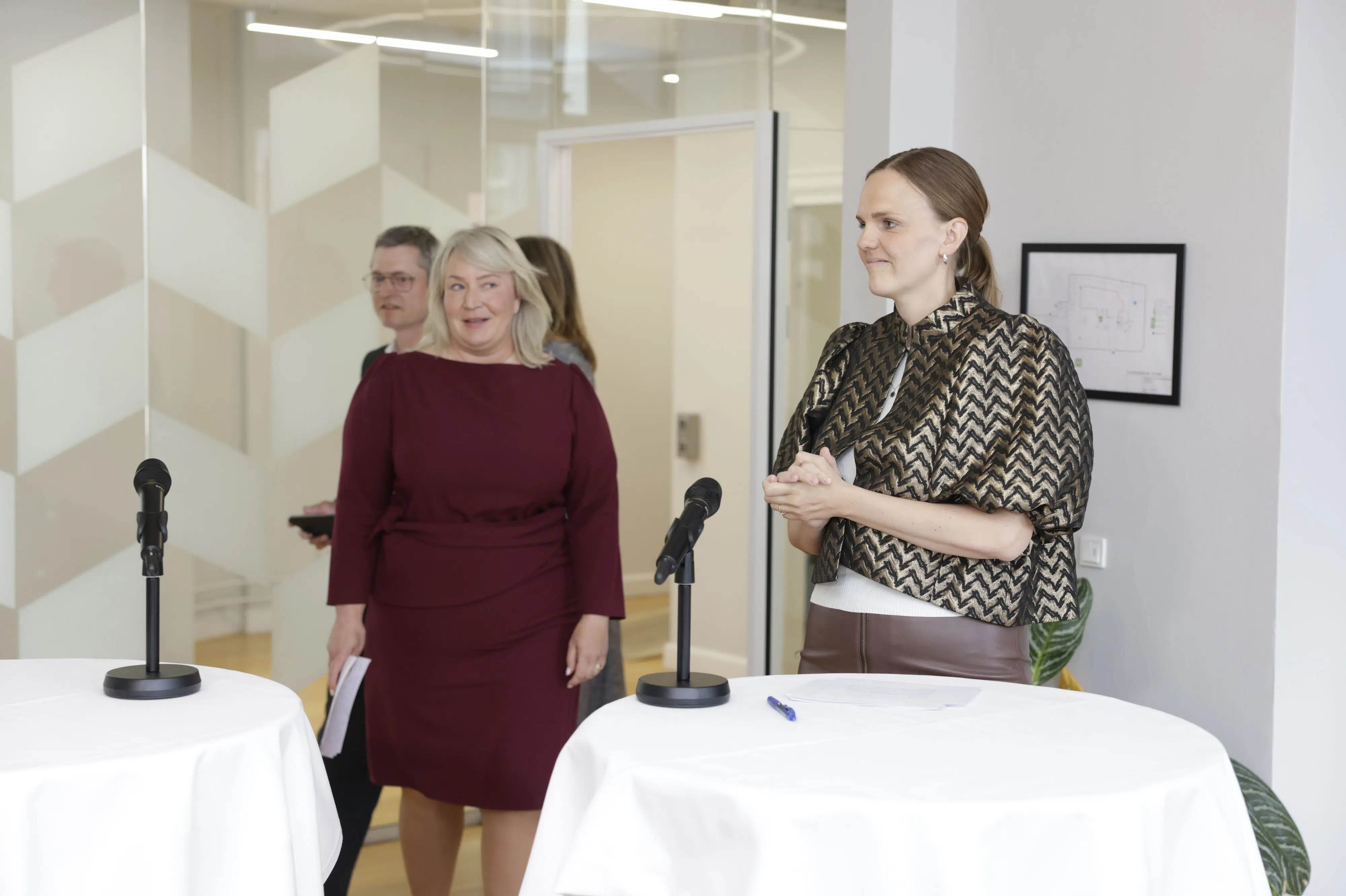 Danish Digitalization Minister Criticizes Ministry Merger