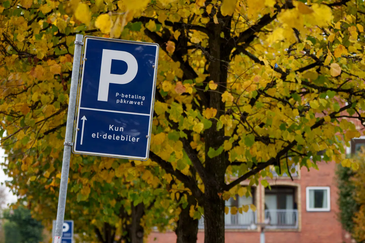Parkeringskilte med »Kun el-delebiler« i København, torsdag den 23. oktober 2025.