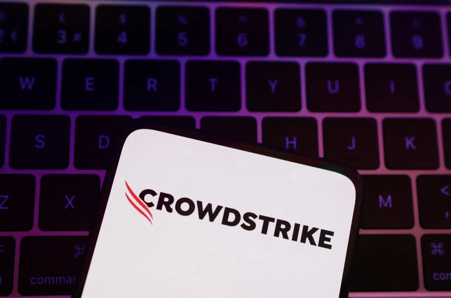 CrowdStrike sælger it-sikkerhed på abonnement. Kunden installerer et program og tilkøber funktioner efter behov. Hvis programmet opdager et hackerangreb hos en virksomhed, beskyttes andre kunder med det samme.