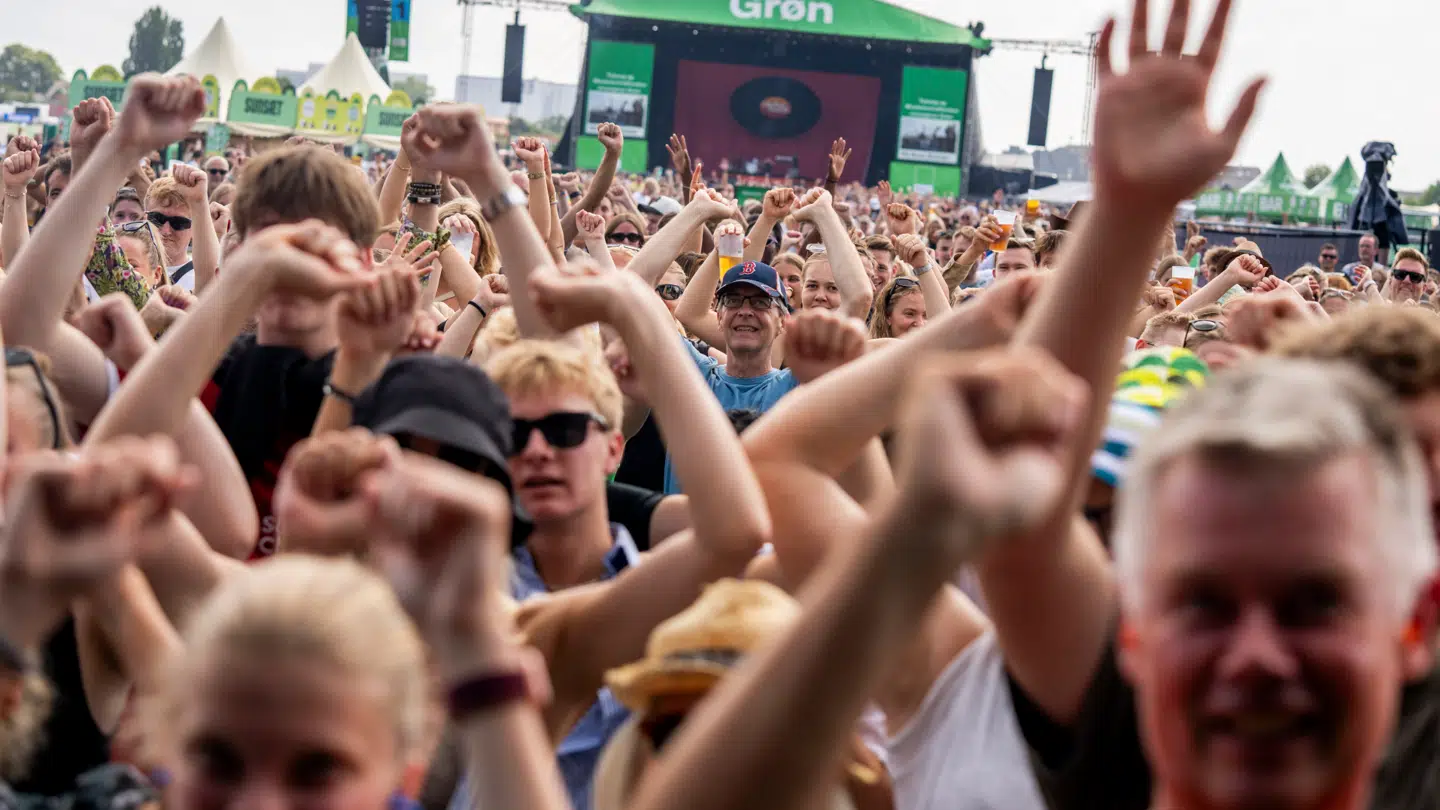(arkivbillede) Grøn Koncert er en af de festivaler, som bruges i svindlen.