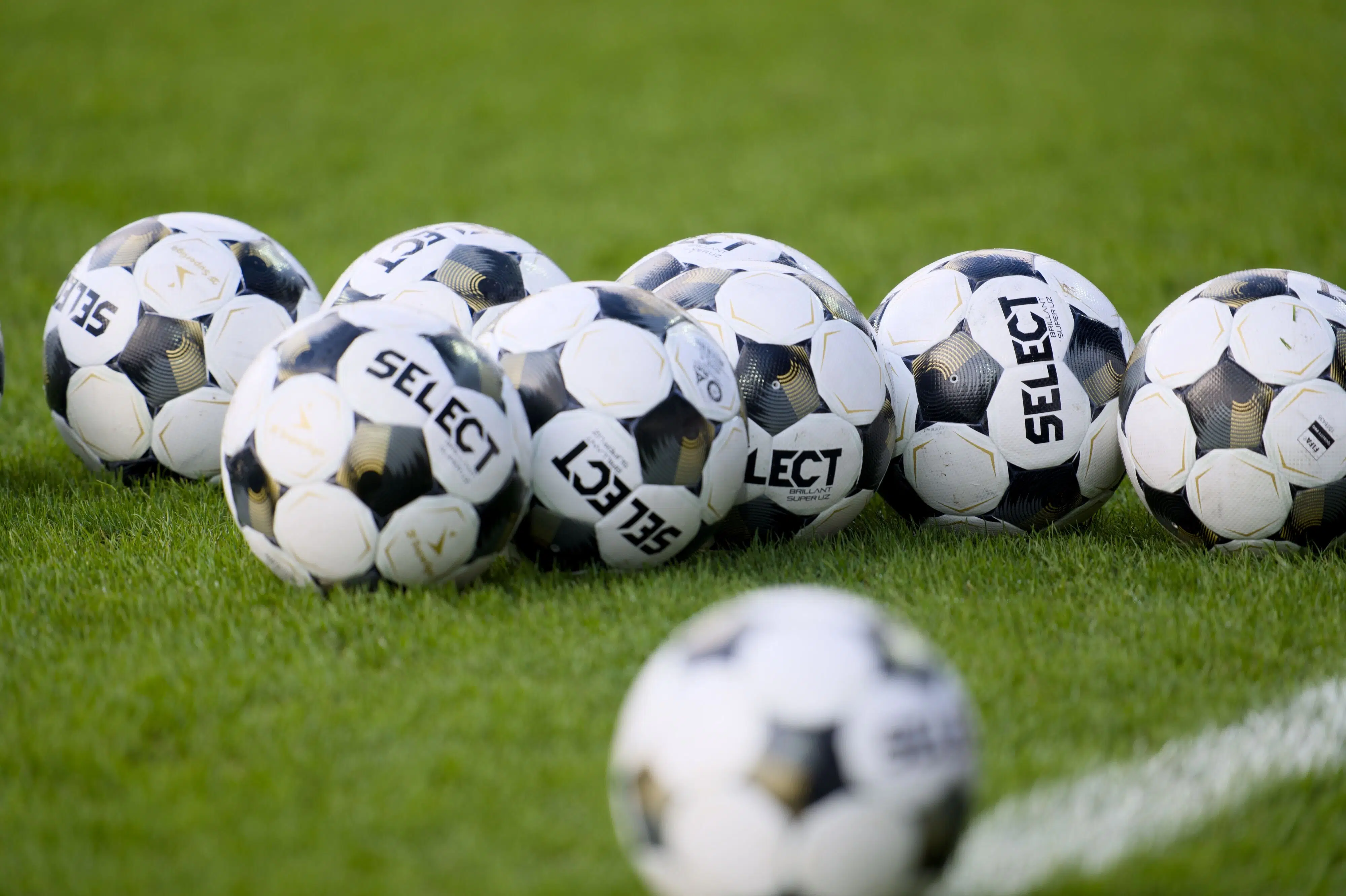 Ball Manufacturer Select Continues Search for Buyer