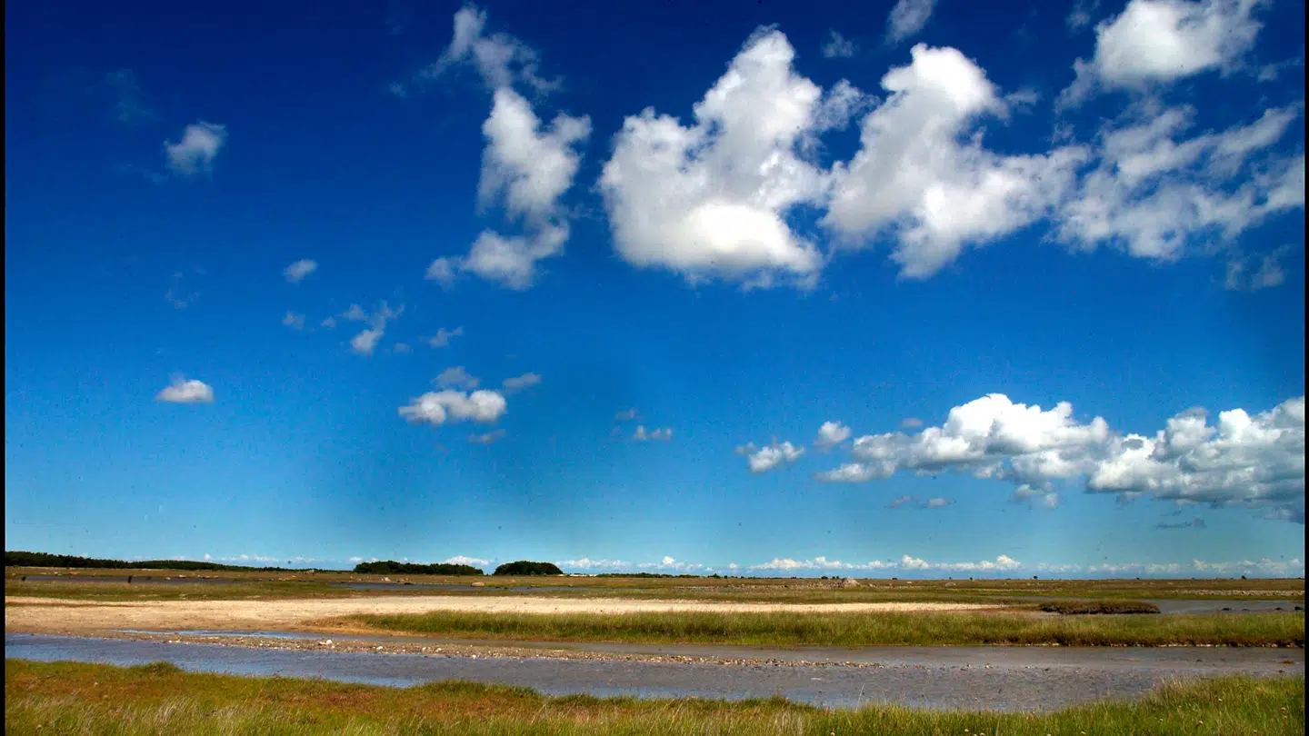 Læsø.