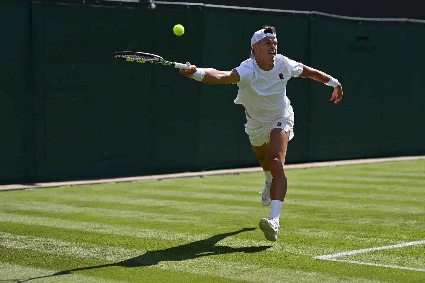 Holger Rune håber på comeback i Wimbledon. (Arkivfoto).