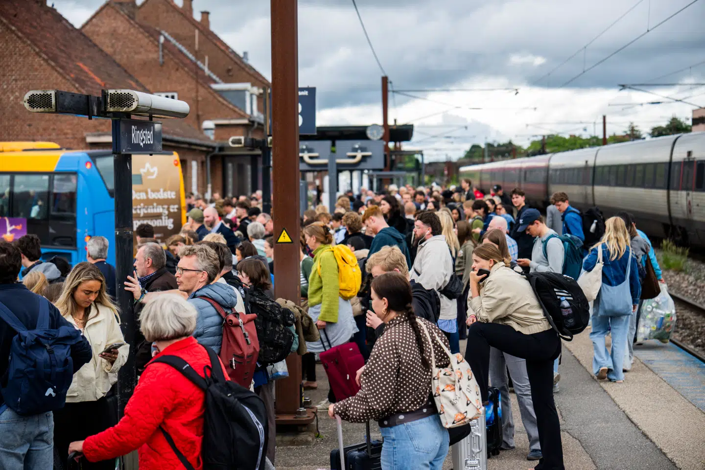 Togpassagerer hentes i togbusser efter, en nedreven køreledning forleden bremsede togdriften. Det syn er danskerne lidt for vant til, og det er svært at forestille sig, at DSB kan håndtere det passagerpres, som gratis billetter efter alt at dømme vil give. Foto: Martin Sylvest/Ritzau Scanpix