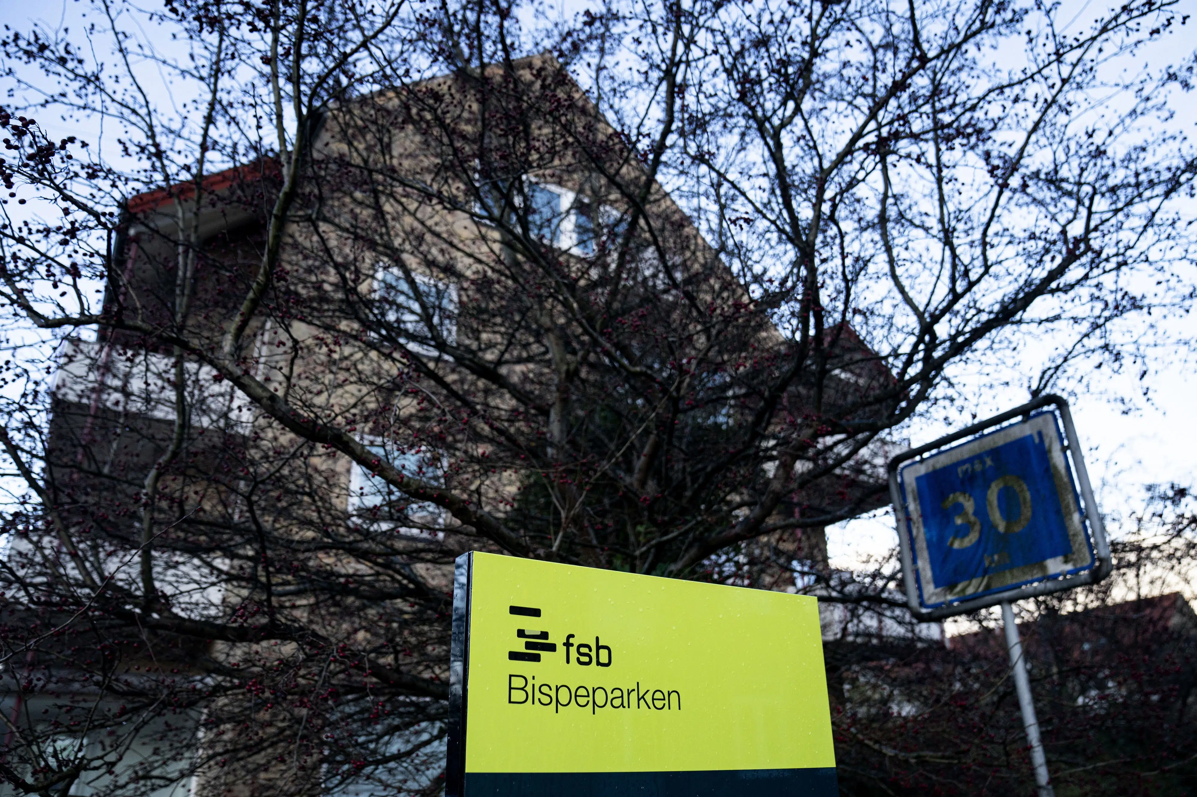 Sigtelse: Kvinder hjalp med at skaffe våben til 17