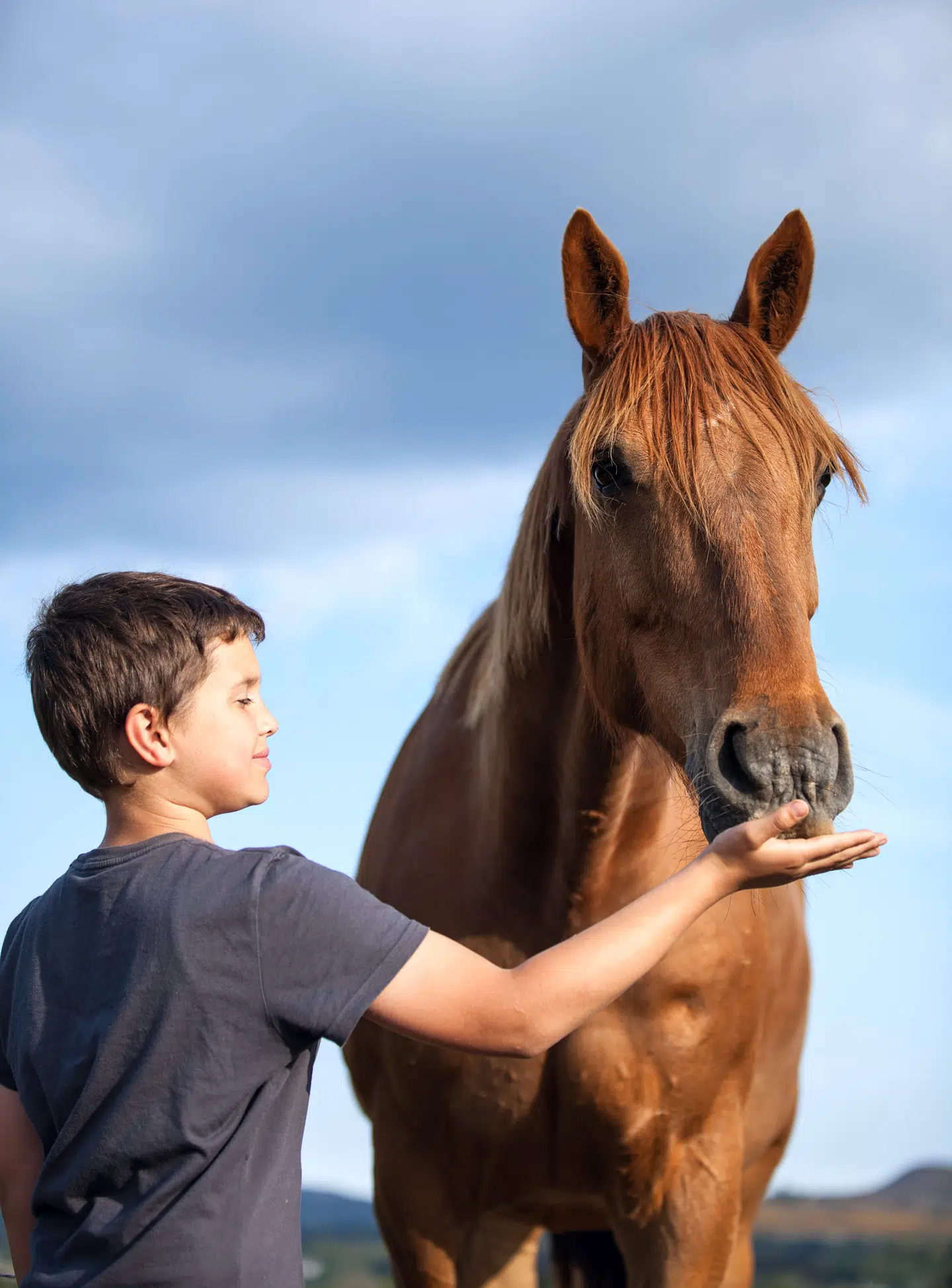 Foto: Adobe Stock
