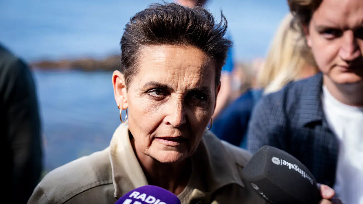 'Jeg synes vi er et svært sted lige nu', skrev Pia Olsen Dyhr i SF's medlemsgruppe.